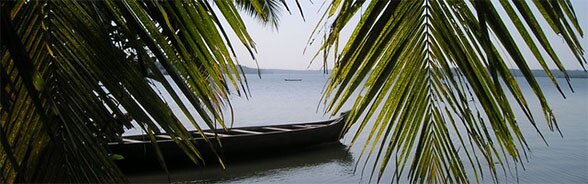 Image of a canoe floating on water with palm leaves in the foreground