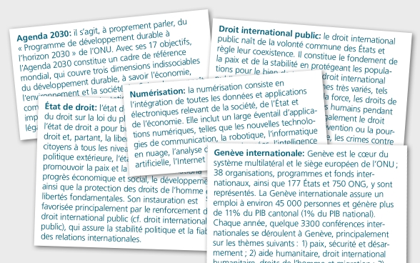 Un échantillon de différentes entrées du glossaire des stratégies du DFAE sont présentées dans cinq encadrés.