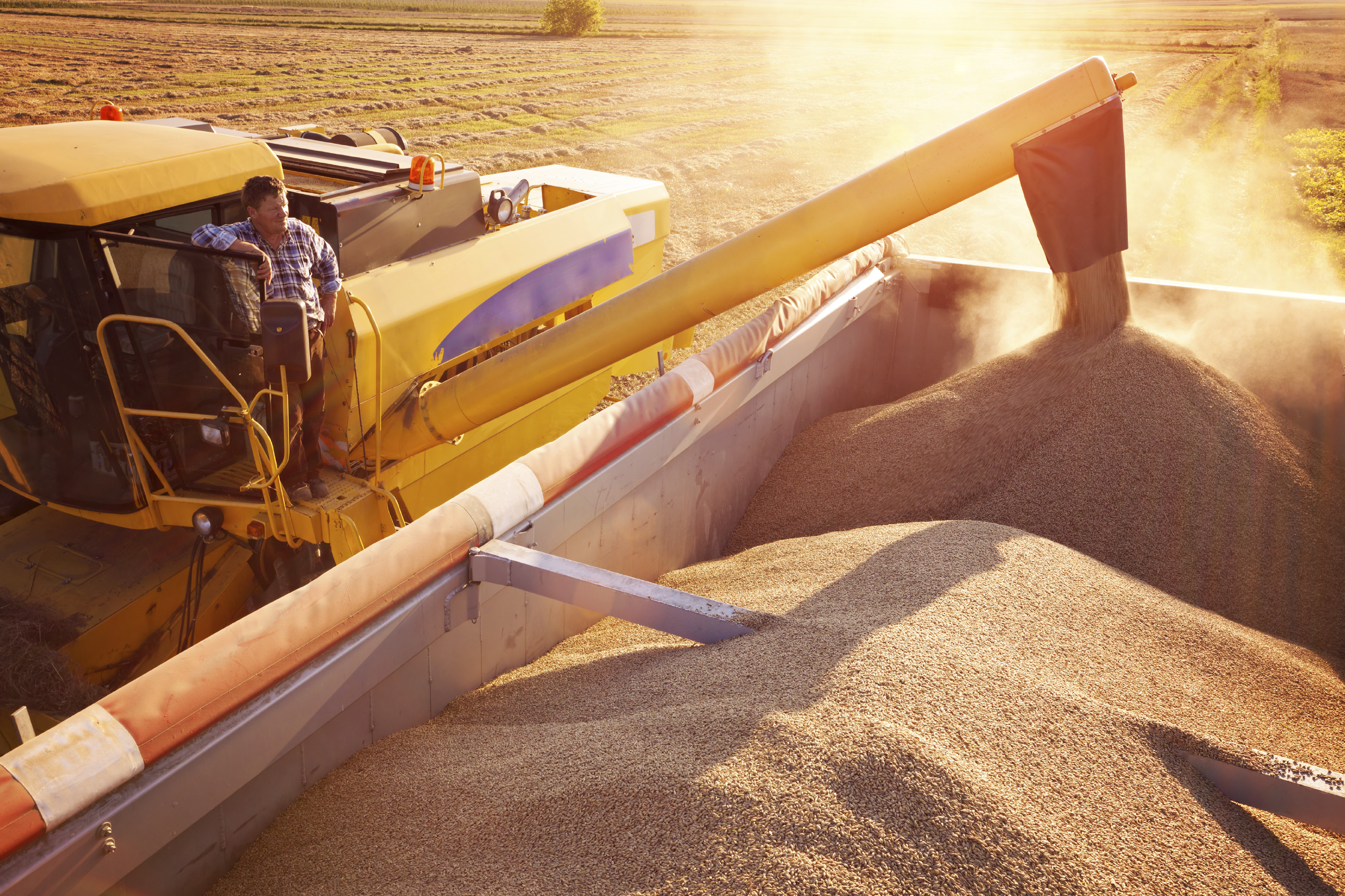 A construction machine filling a skip with gravel