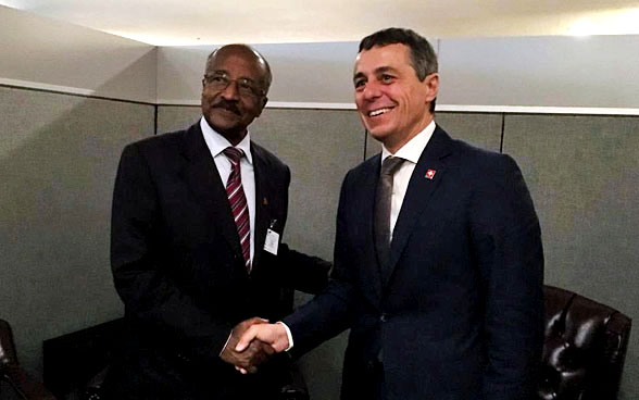 Il consigliere federale Ignazio Cassis incontra il ministro degli esteri eritreo Osman Mohammed Saleh