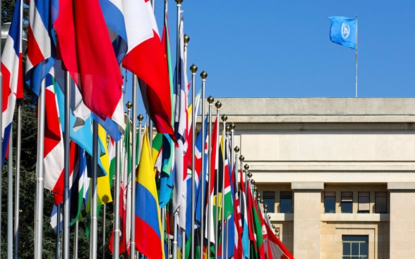 Flags from all over the world, courtyard with flags, Palais des Nations, Geneva.