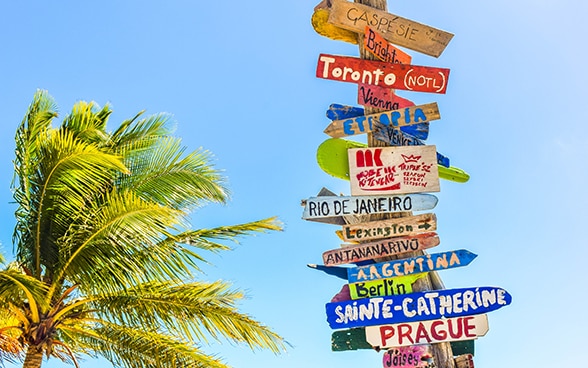 Numerous signposts are attached to a post one above the other. They point in different directions and bear the names of countries and cities. A palm tree is in the background.