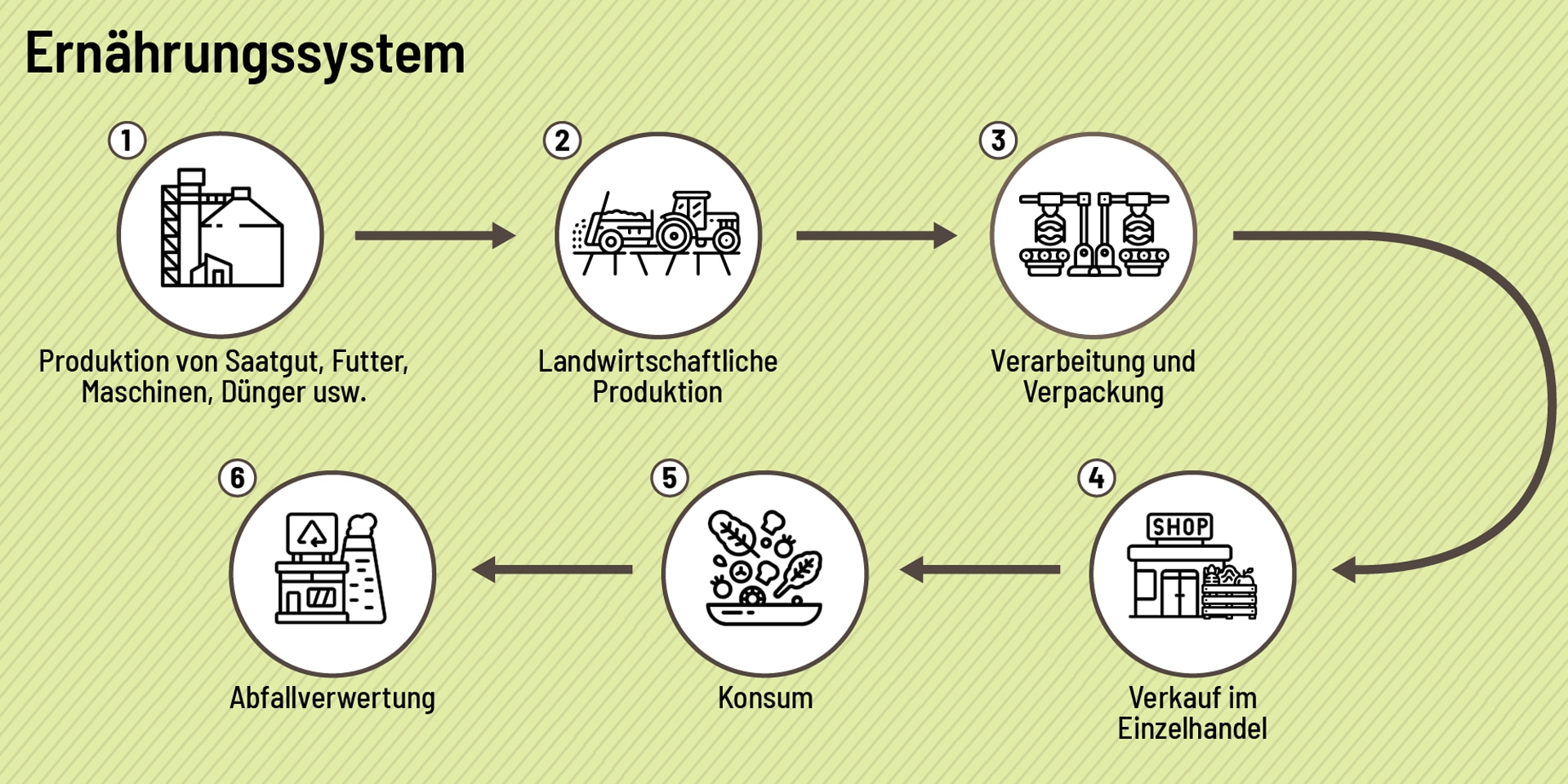 Grafik, die ein Ernährungssystem von der Produktion von Saatgut und Futter zur landwirtschaftlichen Produktion zur Verarbeitung und Verpackung über den Verkauf im Einzelhandel zum Konsum bis hin zur Abfallverwertung aufzeigt.