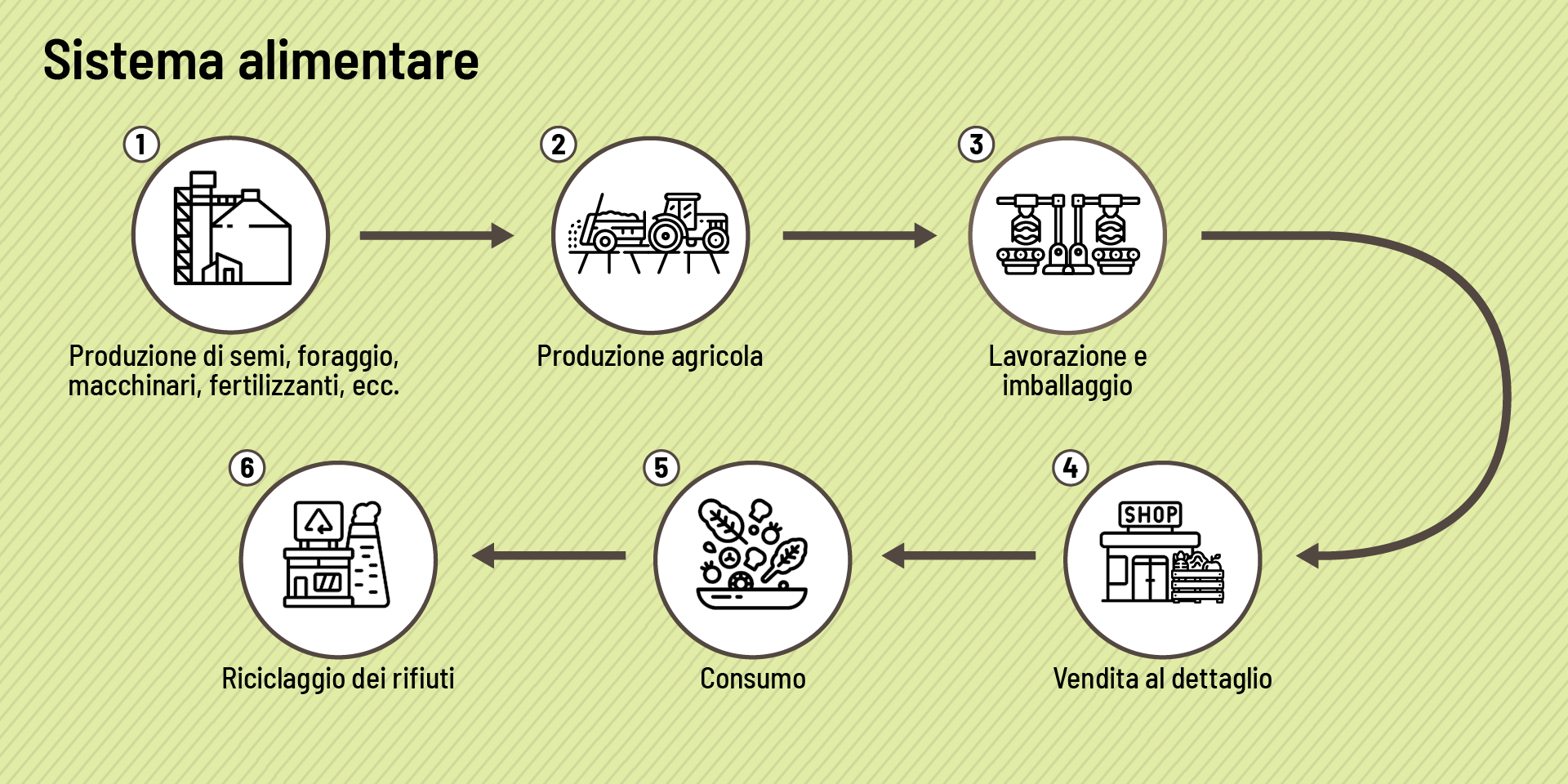Un grafico rappresenta le tappe di un sistema alimentare: produzione di semi e mangimi, produzione agricola, trasformazione e imballaggio, vendita al dettaglio, consumo e riciclaggio dei rifiuti.
