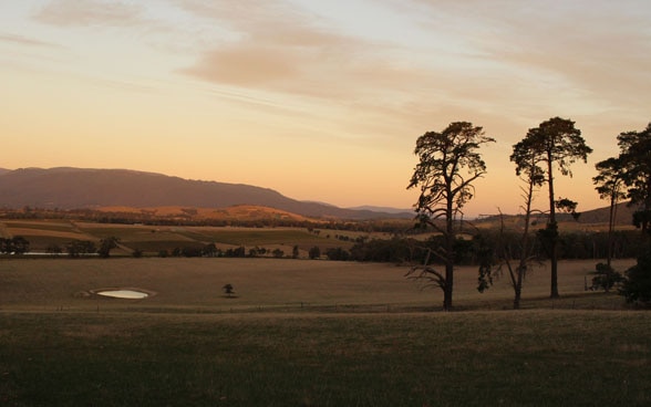 The gently rolling slopes of the Yarra Valley are home to the Yeringberg vineyards and winery, where the de Pury family have been producing their acclaimed wines for four generations.