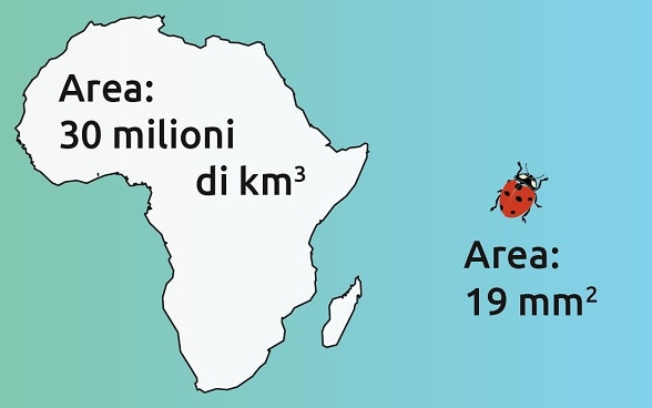 Un’illustrazione mostra il rapporto tra 15 quintilioni USD e 96 bilioni USD.