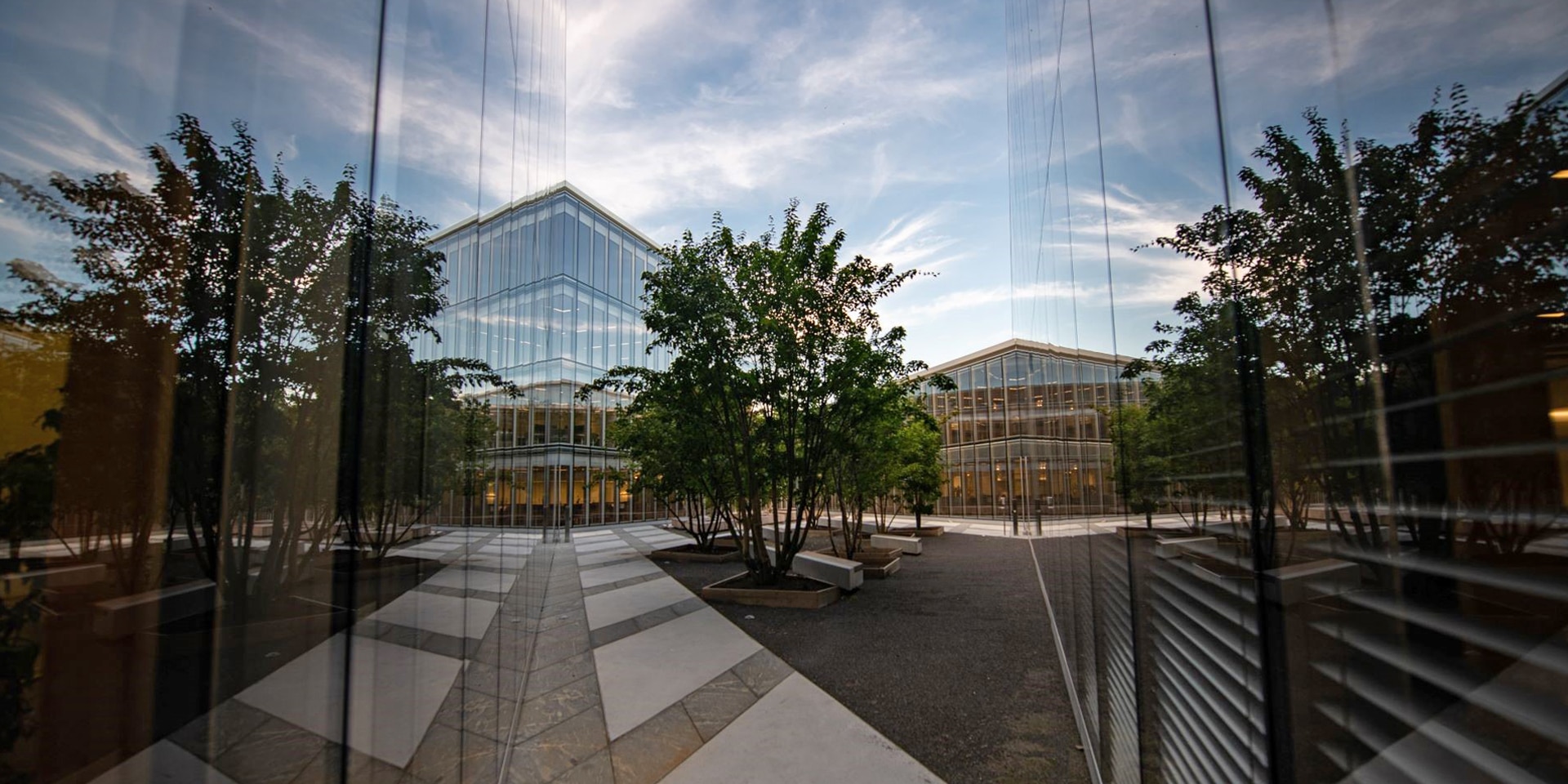 View of two glass facades of the H-building with a tree in the middle.