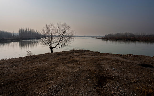 Paesaggio con uno specchio d'acqua e un albero secco in primo piano.