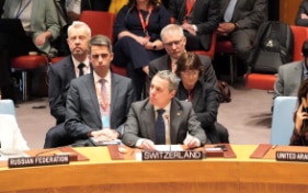 What does Switzerland do in the UN Security Council? 