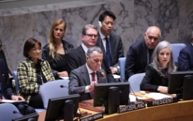 Di cosa si occupa la Svizzera nel Consiglio di sicurezza dell'ONU?