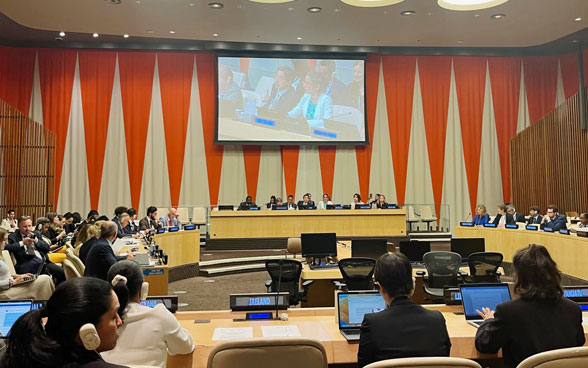 Corinne Cicéron-Bühler erscheint auf einem Bildschirm im Saal des UN-Sicherheitsrats in New York.