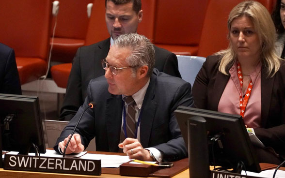 L'ambassadeur Thomas Gürber s'exprime au Conseil de sécurité de l'ONU.