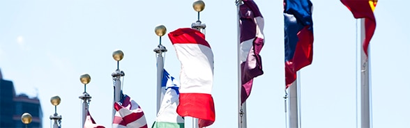 Image of member states’ flags flying in front of United Nations headquarters in New York.