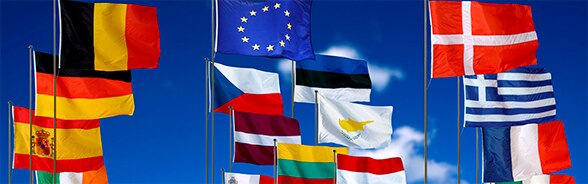 Fahnen verschiedener EU-Mitgliedstaaten wehen im Wind.