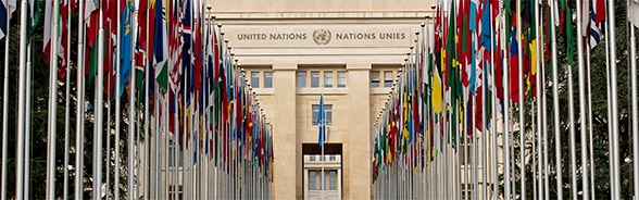 flags of the United Nations member states flying in front of the Palais des Nations in Geneva in 2014