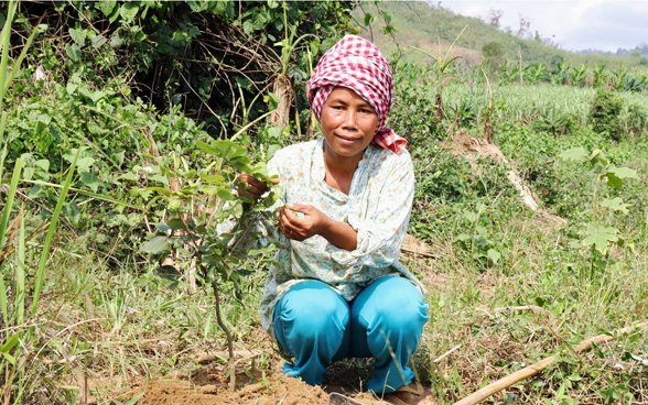 Une paysanne est accroupie sur son champ sans mines