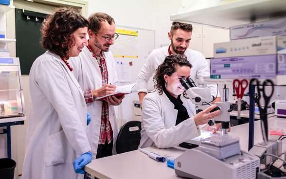 Un gruppo di scienziati esegue un’analisi microscopica in laboratorio. 