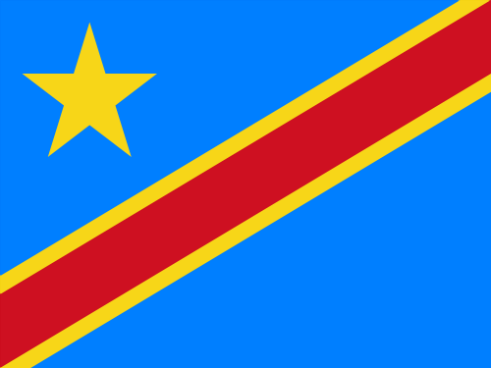 Bandiera Congo, Repubblica democratica