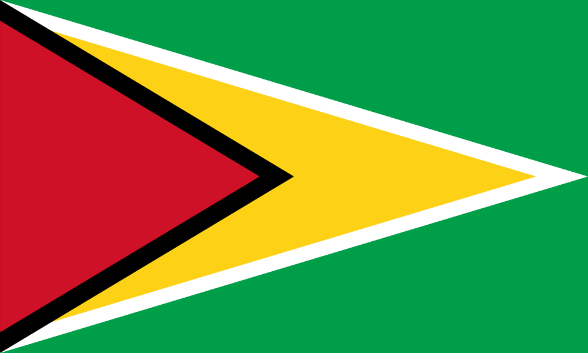 Flag Guyana