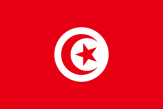 Flagge Türkei