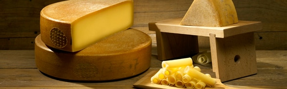 Cheese