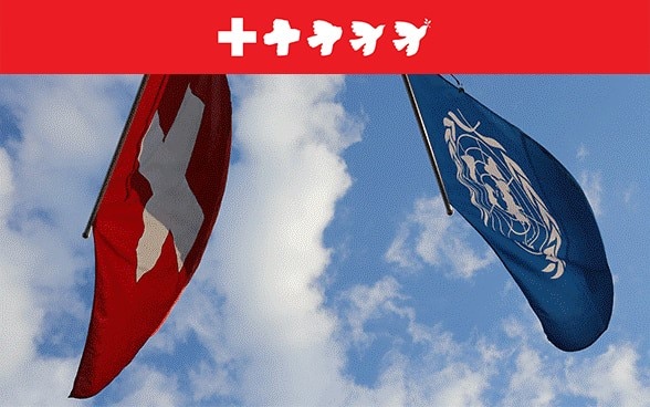 Swiss and UN Flag