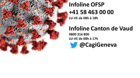 Infoline OFSP