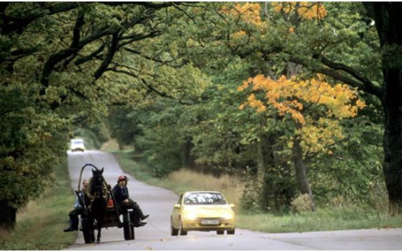 Voiture et carrosse 