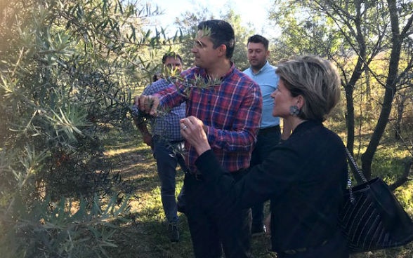 Quattro persone visitano una piantagione di olivello spinoso marino