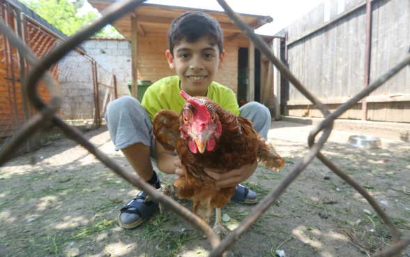 Ein Junge hält ein Huhn im Stall fest.