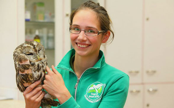 Eine junge Frau hält eine Eule, deren Flügel medizinisch behandelt wurde.