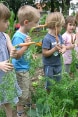 Eine Gruppe Kinder in einem Bioschulgarten in Slowenien 